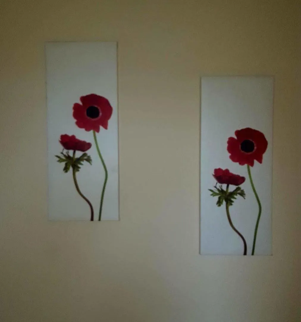 Edinburgh City Center Coady Apartment Sleeps 5 Free Car Park Space